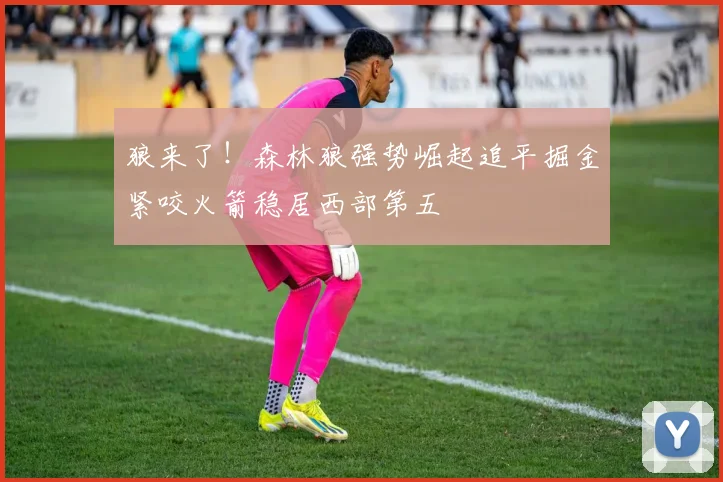 狼来了！森林狼强势崛起追平掘金紧咬火箭稳居西部第五