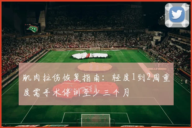肌肉拉伤恢复指南：轻度1到2周重度需手术停训至少三个月