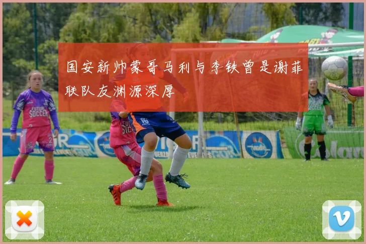 国安新帅蒙哥马利与李铁曾是谢菲联队友渊源深厚